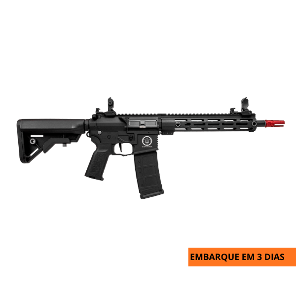 ROSSI NEPTUNE AR15 10'' PLUS ELÉT. 6MM
