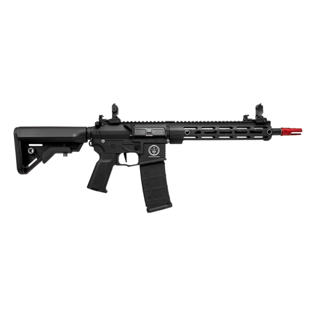 ROSSI NEPTUNE AR15 10'' PLUS ELÉT. 6MM